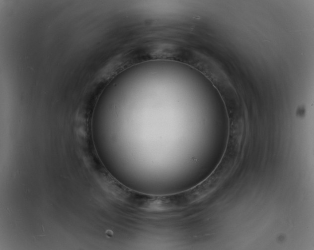 X0000102220755200807251210