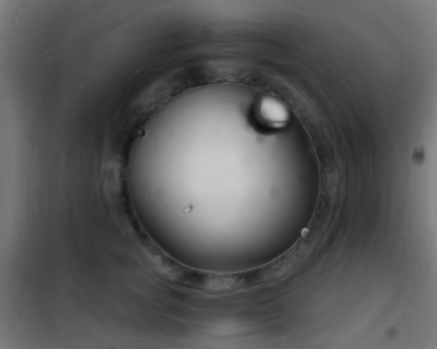 X0000102220757200807251210