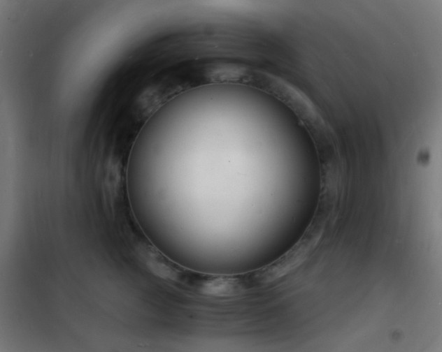 X0000102220761200807251210