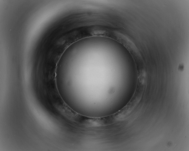 X0000102220763200807251210