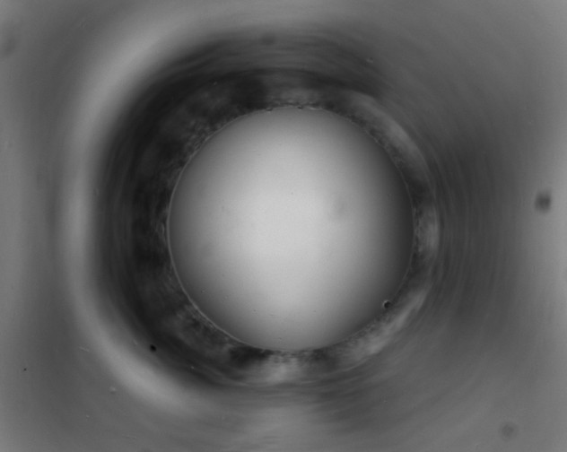 X0000102220764200807251210