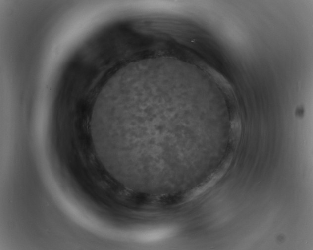 X0000102220765200807251210