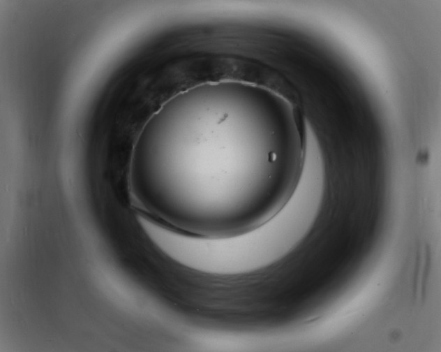 X0000102220766200807251210