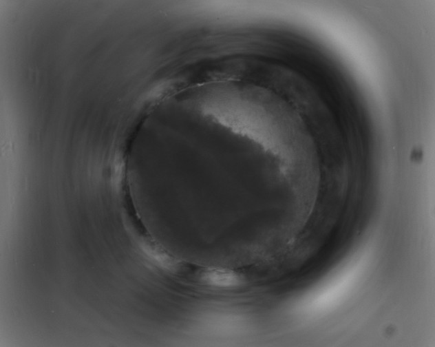 X0000102220767200807251211