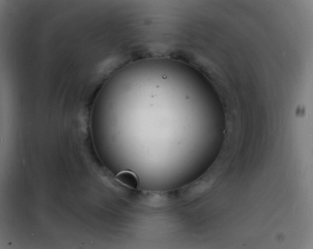 X0000102220768200807251211