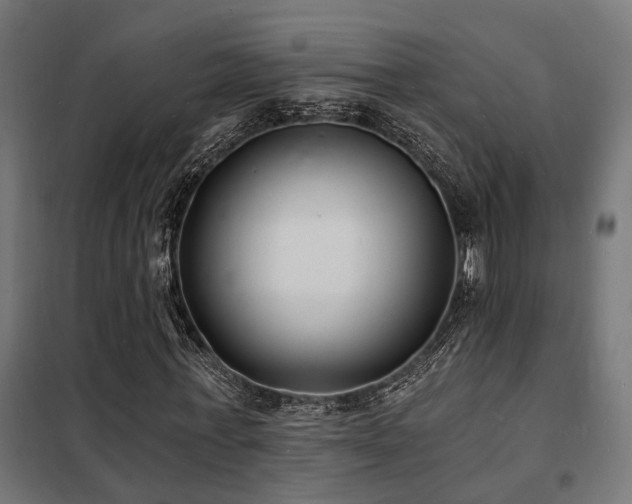 X0000102220771200807251210