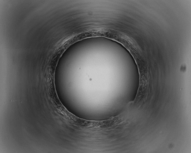 X0000102220773200807251210