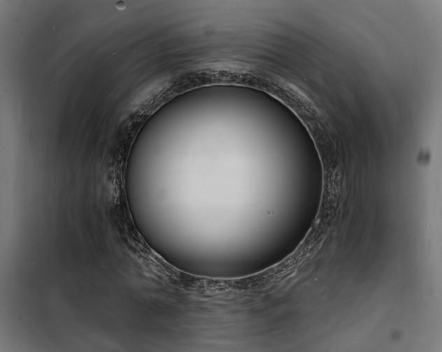 X0000102220774200807251210