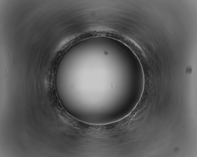 X0000102220775200807251210