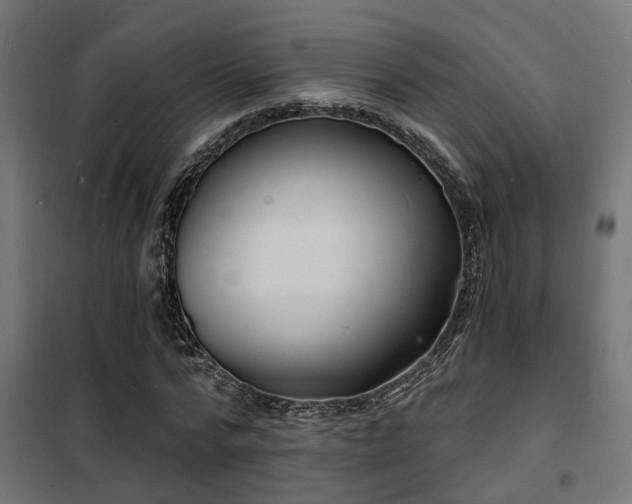 X0000102220776200807251210