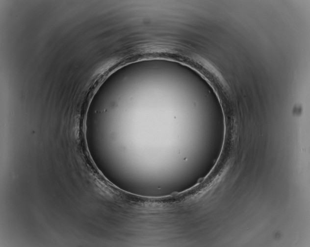 X0000102220777200807251210