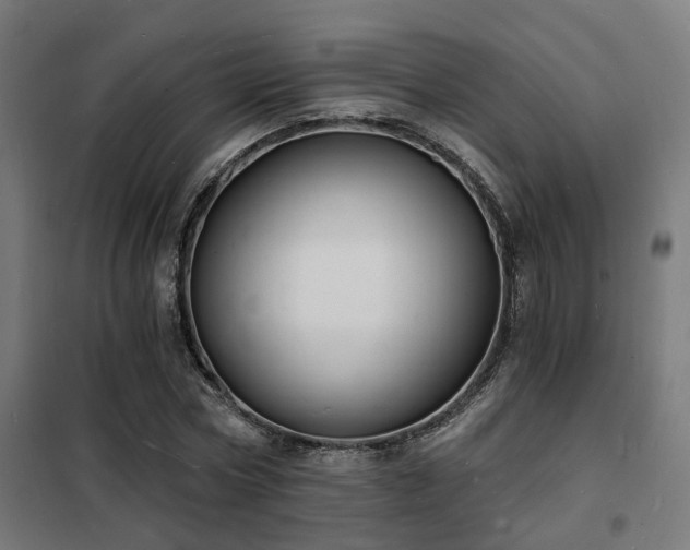 X0000102220778200807251210