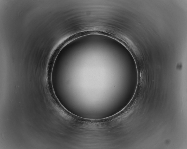 X0000102220780200807251210