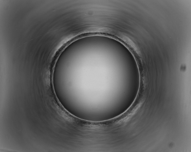 X0000102220781200807251210