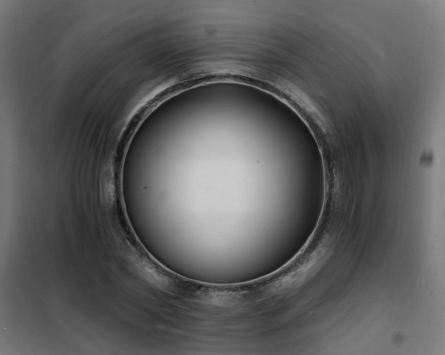 X0000102220782200807251210