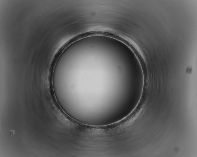 X0000102220783200807251210