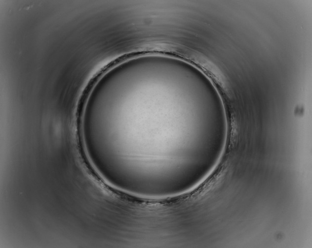 X0000102220784200807251210