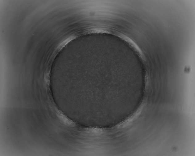 X0000102220785200807251210