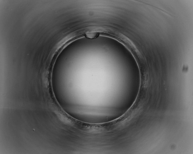 X0000102220786200807251210