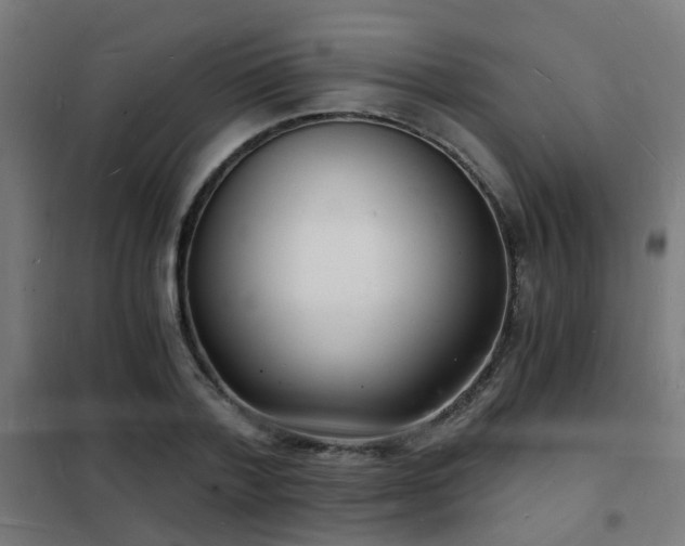 X0000102220788200807251210