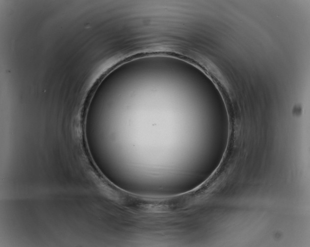 X0000102220789200807251210