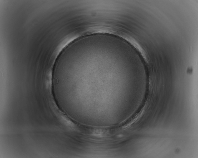 X0000102220790200807251210