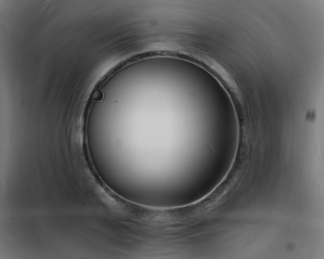 X0000102220791200807251210