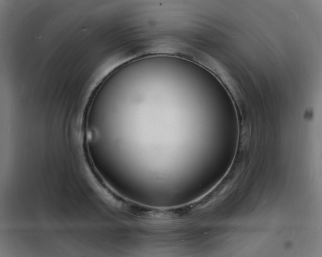 X0000102220795200807251209