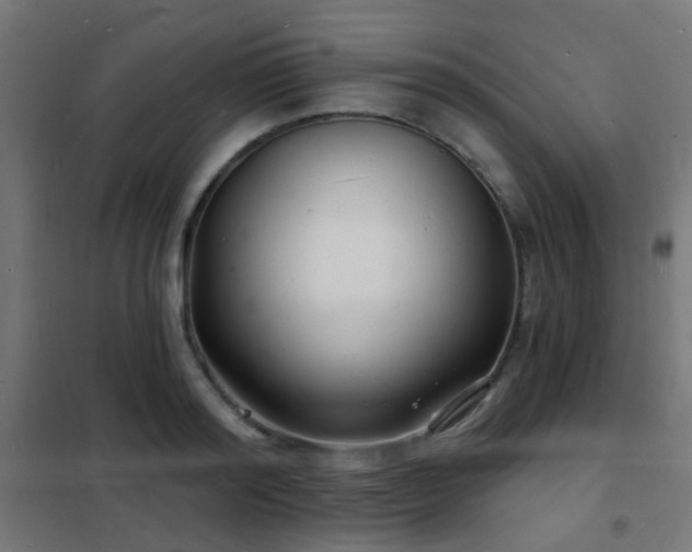 X0000102220796200807251209