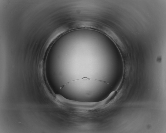 X0000102220798200807251209