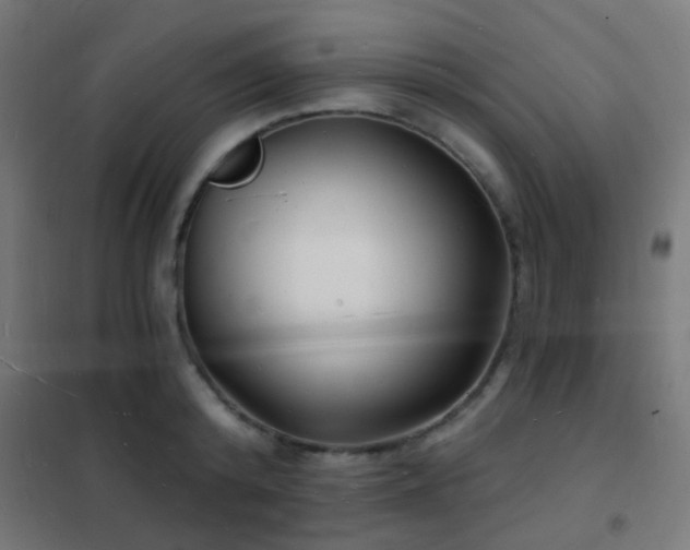 X0000102220800200807251209