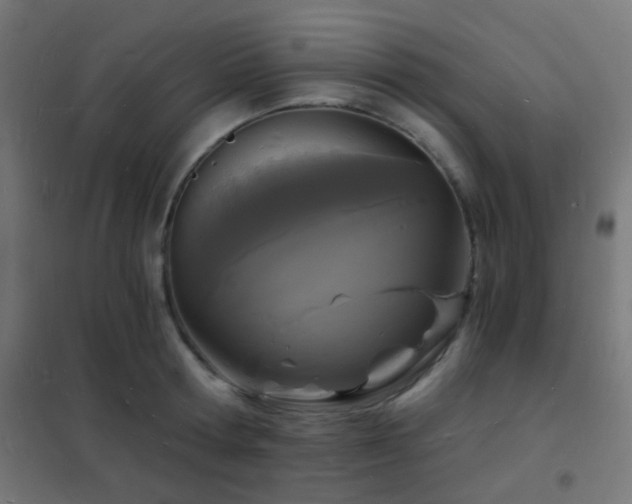 X0000102220802200807251209