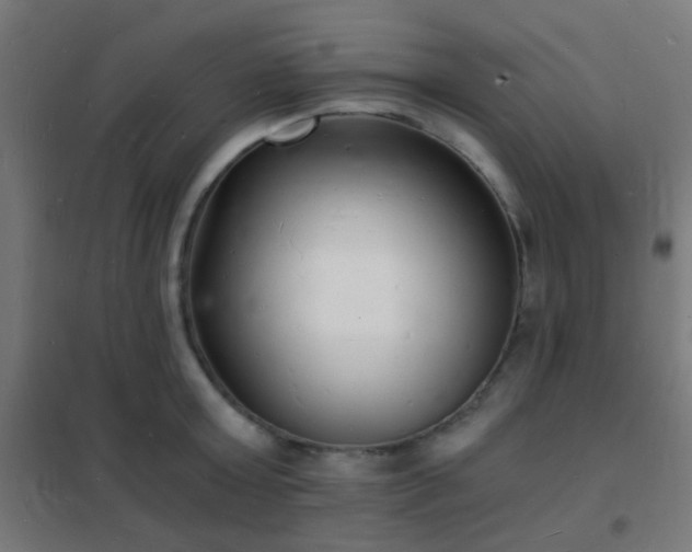 X0000102220803200807251209