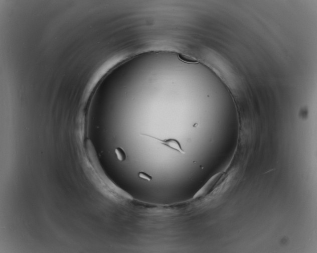 X0000102220804200807251209