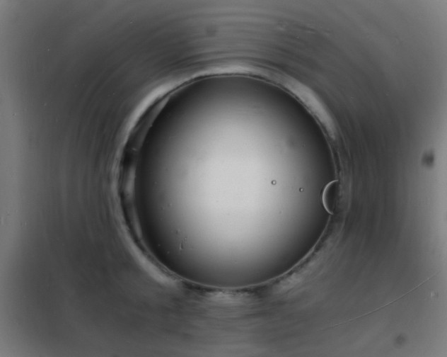 X0000102220805200807251209