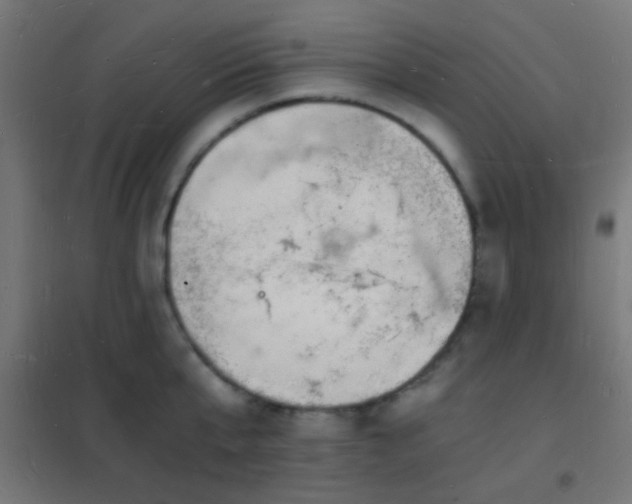 X0000102220807200807251209