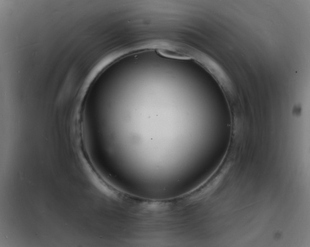 X0000102220808200807251209