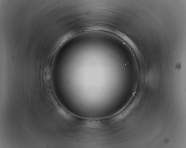 X0000102220809200807251209