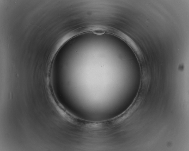 X0000102220810200807251209