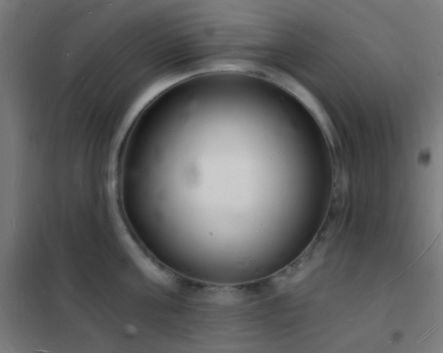 X0000102220811200807251209