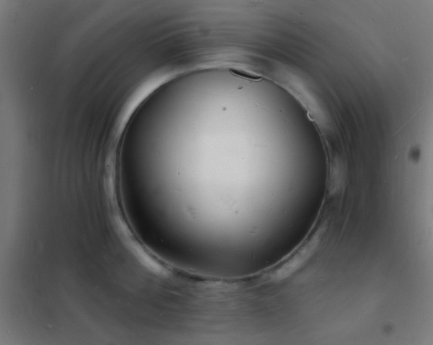 X0000102220812200807251209