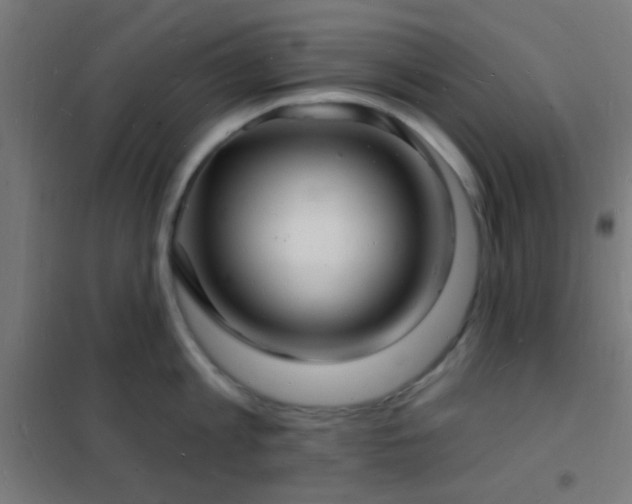 X0000102220813200807251209