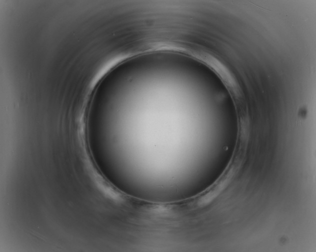 X0000102220814200807251209