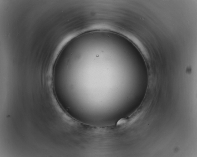 X0000102220815200807251209