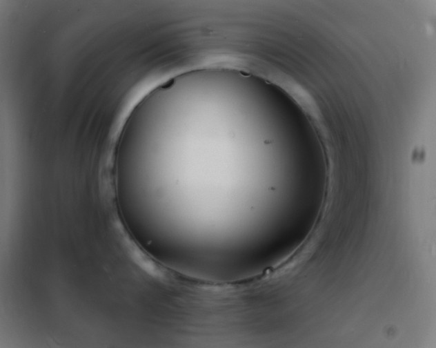 X0000102220816200807251209