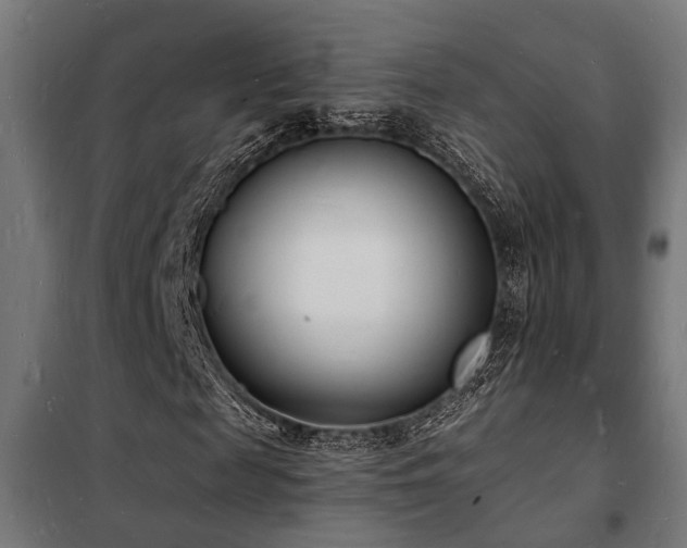 X0000102220817200807251209