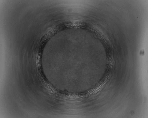 X0000102220818200807251209