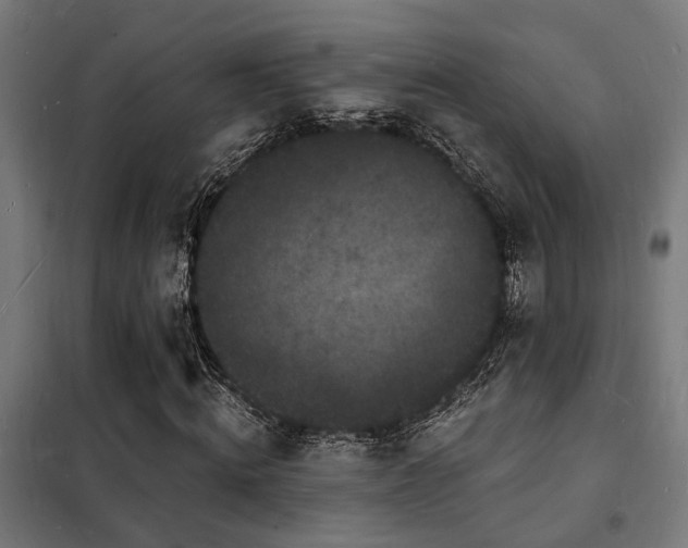 X0000102220820200807251209