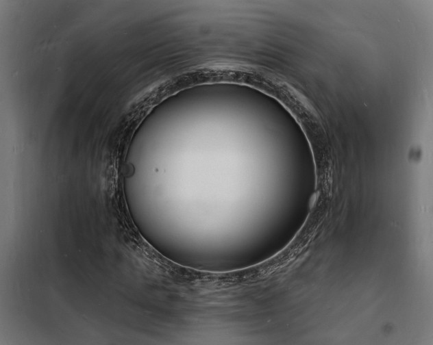 X0000102220821200807251209