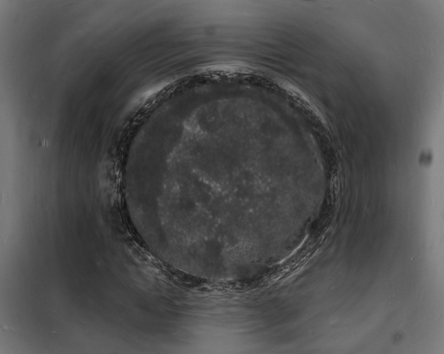 X0000102220822200807251209